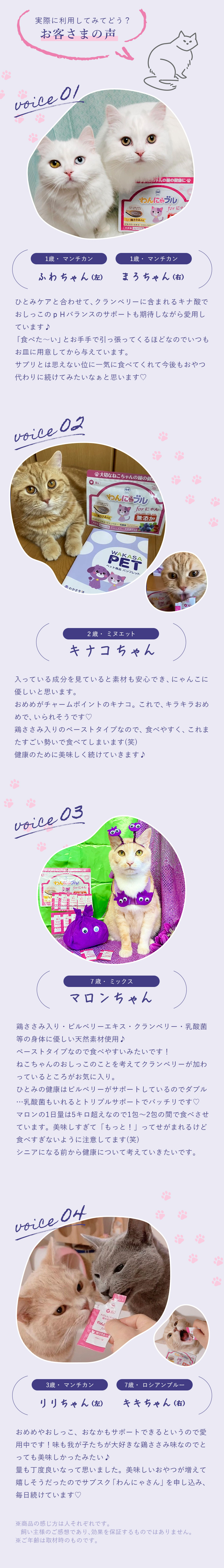 わかさ生活　わんにゃブルforにゃんLP