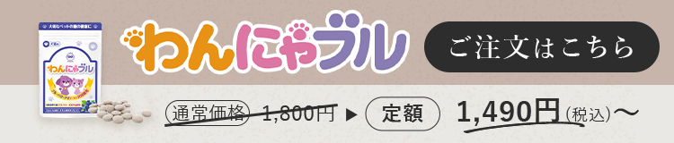 わかさ生活　わんにゃブルLP