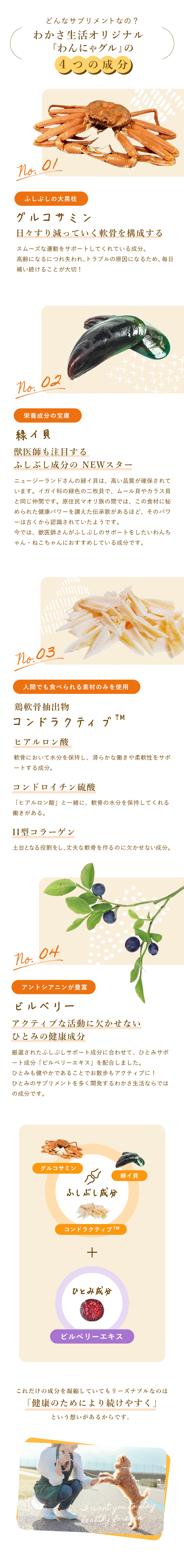 わかさ生活 わんにゃグル LP